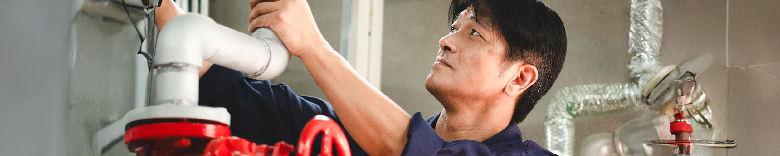 その他イメージ2